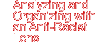 Analyzing and Organizing with an Anti-Racist Lens